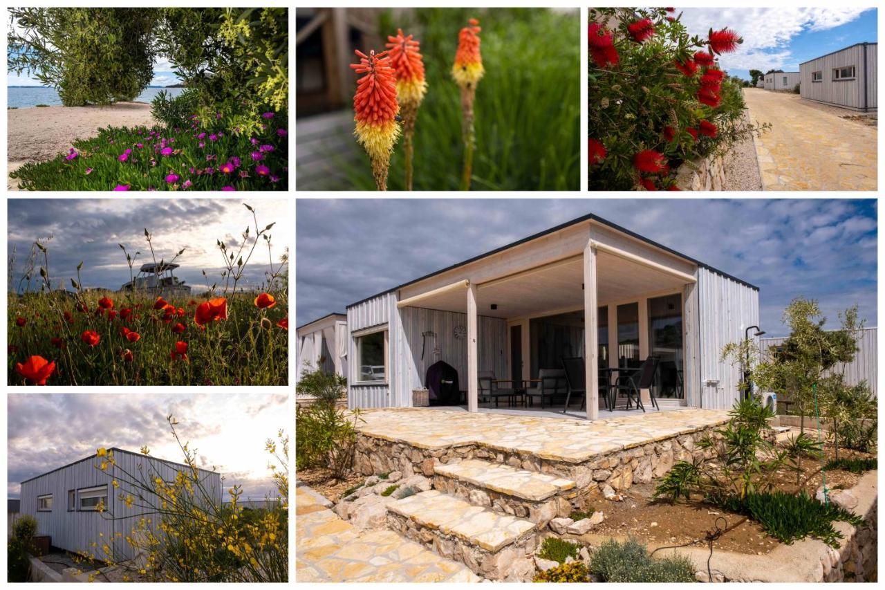 Buqez Resort Drage, Villa Vita 50 파코스탄 외부 사진